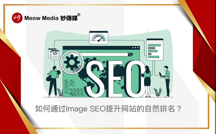 某教育机构SEO优化案例